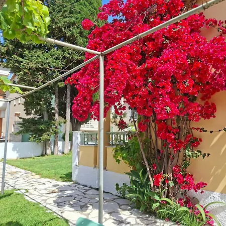 Apartment Kipos Kassiopi